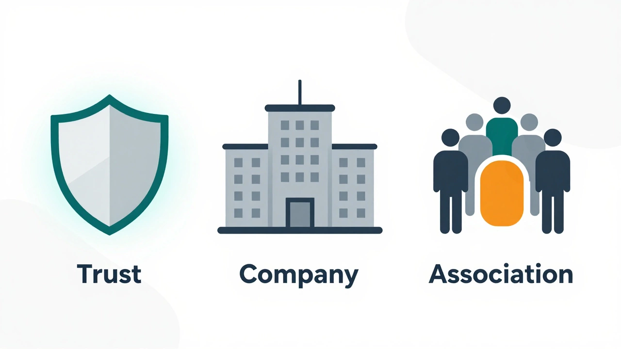 Minimalist icons comparing trust, company, and association structures visually
